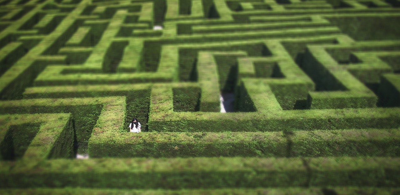 labyrinth, hedges, woman-7640561.jpg
